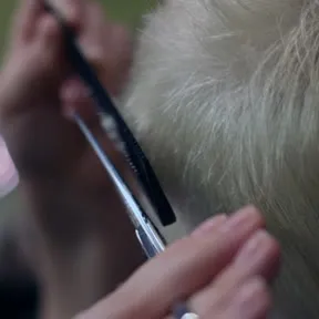 Photo: a haircut, close up